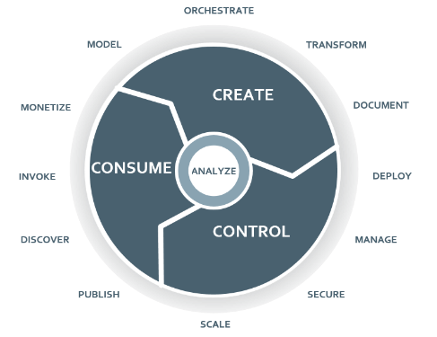 api management plus