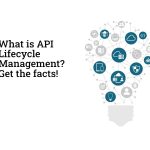 API Lifecycle Management