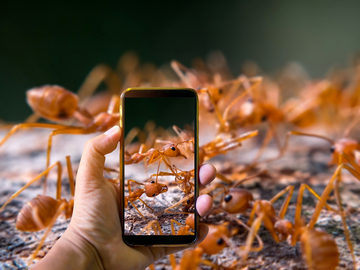 That’s how you get ants — communication, it’s not all talk!