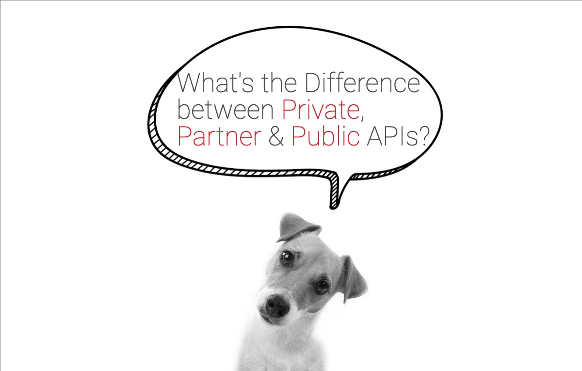 Designing Private, Partner, and Public APIs: What’s the Difference?
