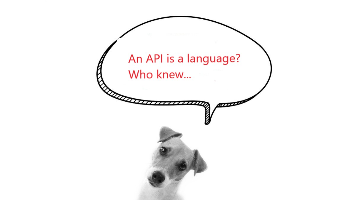 API is a language!
