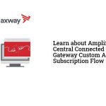 Amplify Central Connected Gateway Custom API Subscription Flow incident management