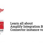 Amplify Integration Builder Connector Instance Variables