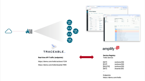 How to Secure APIs | Combat Shadow APIs with Amplify Platform
